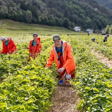 Solneset Farm Szálloda