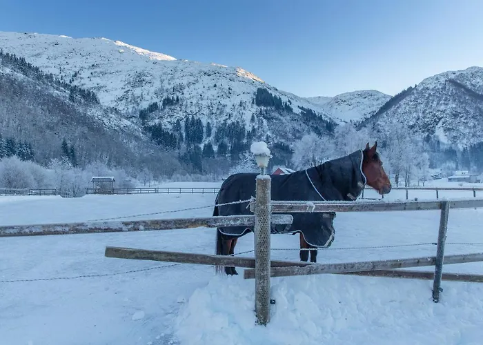 فندق Solneset Farm برغن