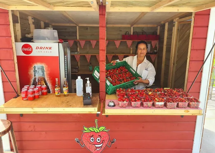 Solneset Farm فندق