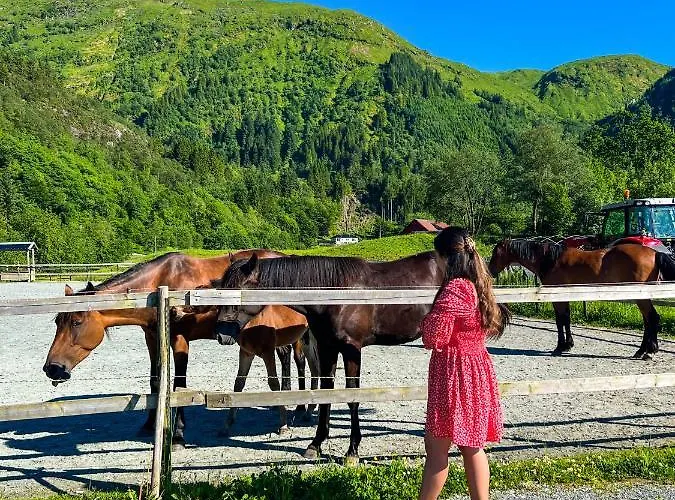 Solneset Farm فندق