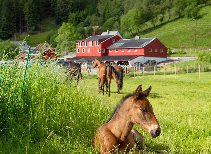 Hotel Solneset Farm