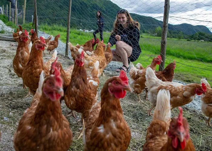 Solneset Farm * برغن