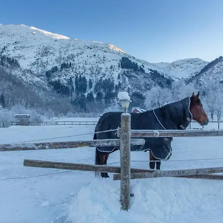 Bauernhof Solneset Farm Bergen