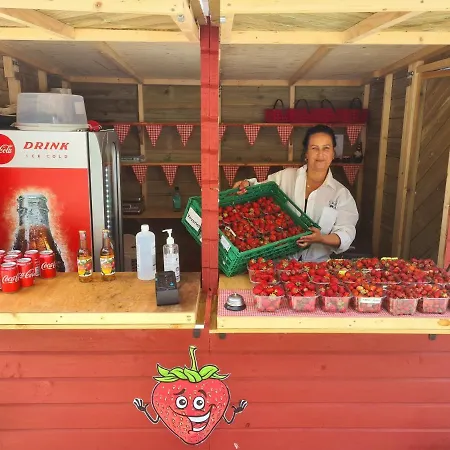 Solneset Farm Bauernhof