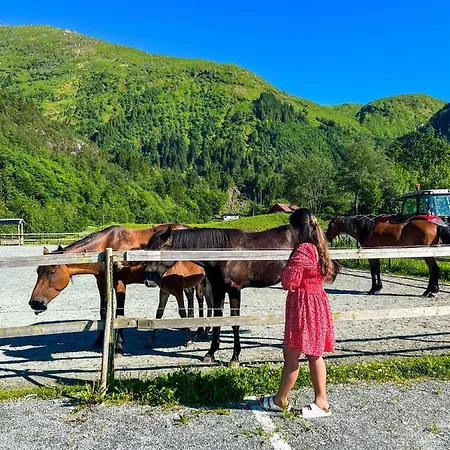 Solneset Farm Bauernhof