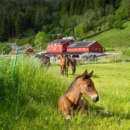 Bauernhof Solneset Farm